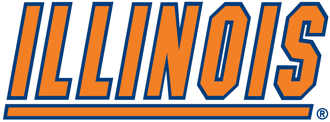 Illinois Fighting Illini 1989-2013 Wordmark Logo diy DTF decal sticker...